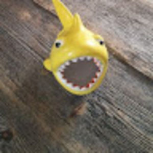 Meet your Posher, Lindsay